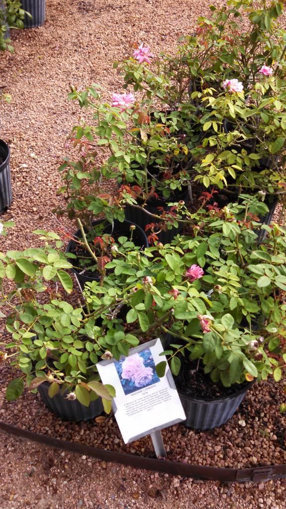  photo IMG_20140924_101152_093.jpg